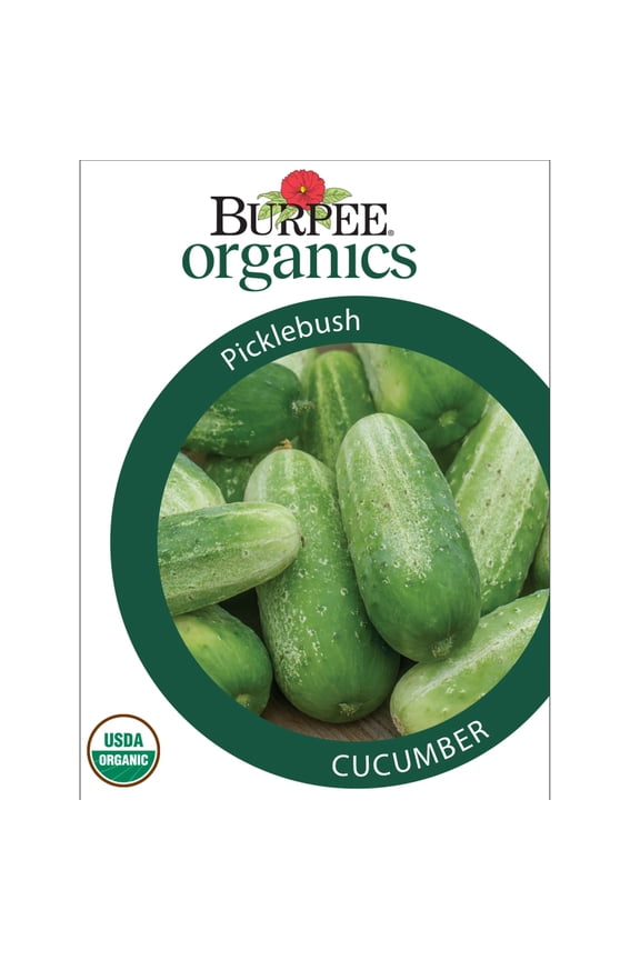 Organic Picklebush Cucumber, Annual Vegetable Seed, Full Sun