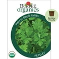 thumbnail image 1 of Burpee Organic Plain or Single Italian Parsley Herb Seed, 1-Pack,Full Sun, Annual, 1 of 5