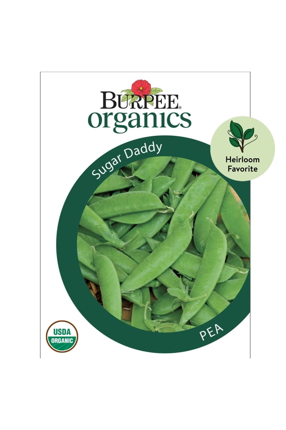 Organic Sugar Daddy Pea Vegetable Seed, 1-Pack