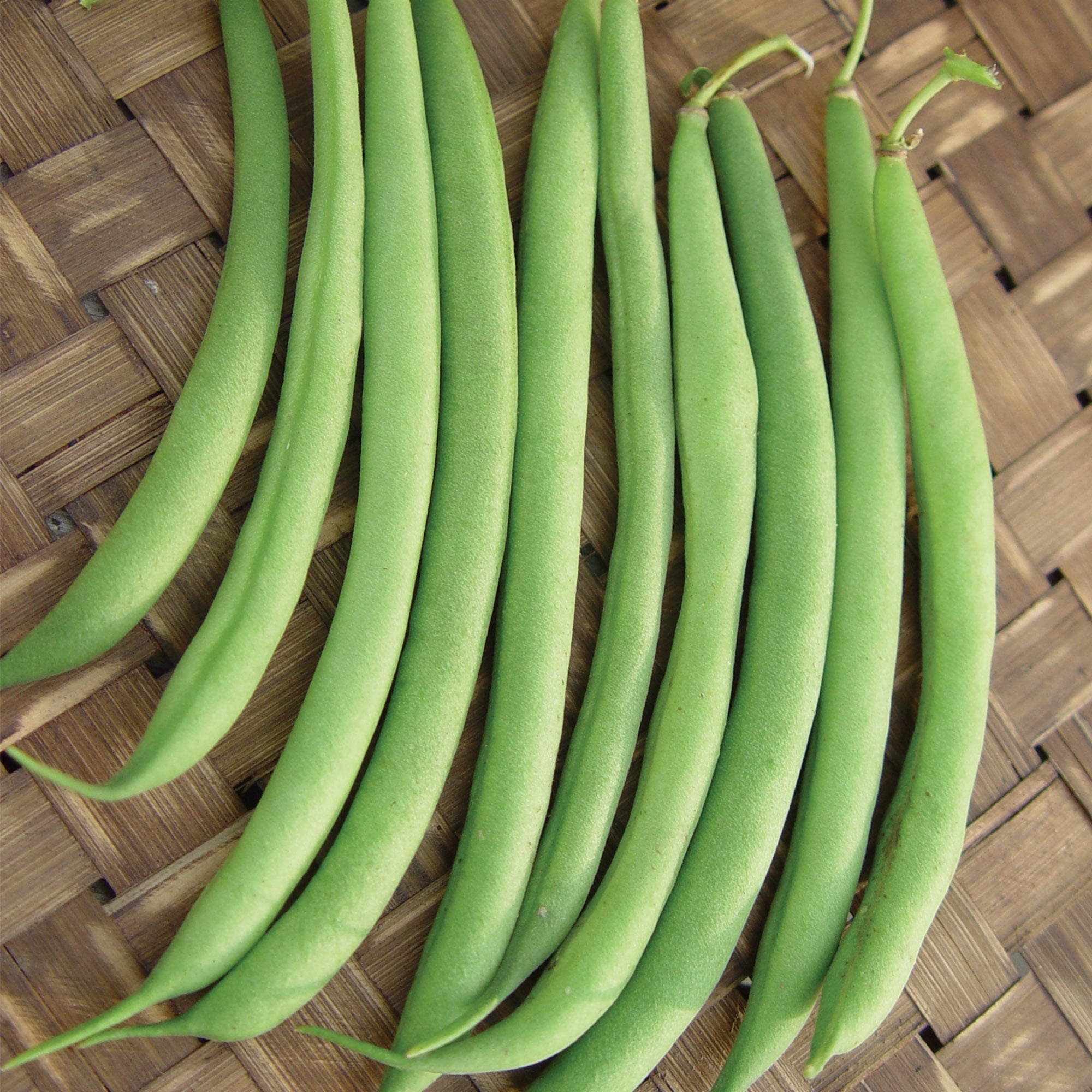 Burpee Organic Tendergreen Heirloom Garden Bean Seed, 1-Pack