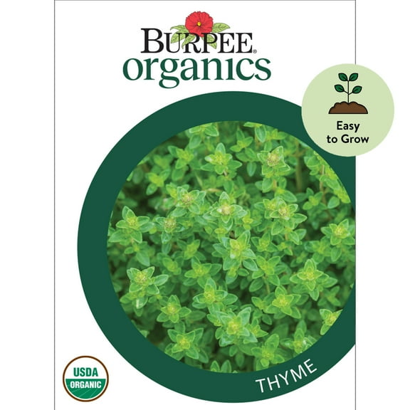 Burpee Organic Thyme Herb Seed, 1-Pack