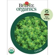 Burpee Organic Thyme Herb Seed, 1-Pack