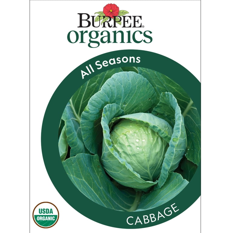 Burpee Organics All Seasons Cabbage Seeds Organic Vegetable Gardening Seeds, 1-Pack