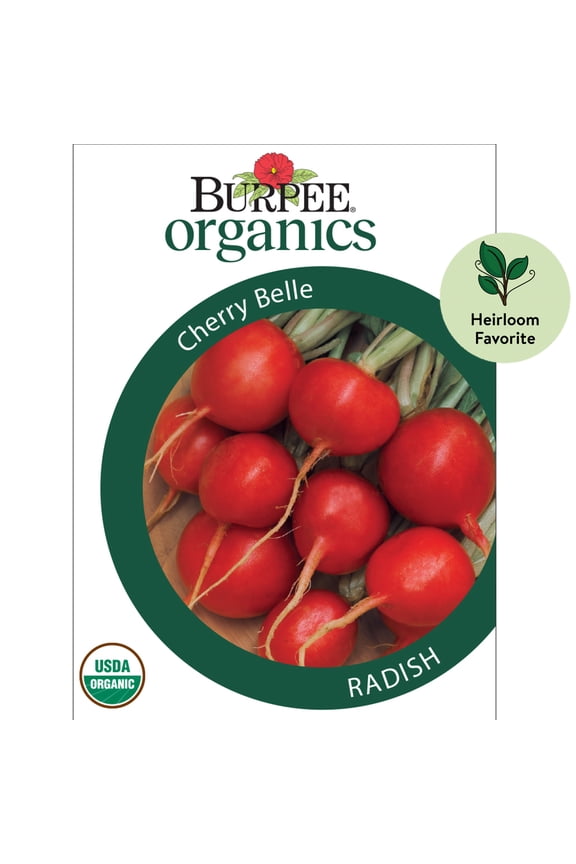 Organics Cherry Belle Radish Seeds - Non-GMO, Heirloom Organic Vegetable Gardening Seeds, 4.6g, 1-Pack