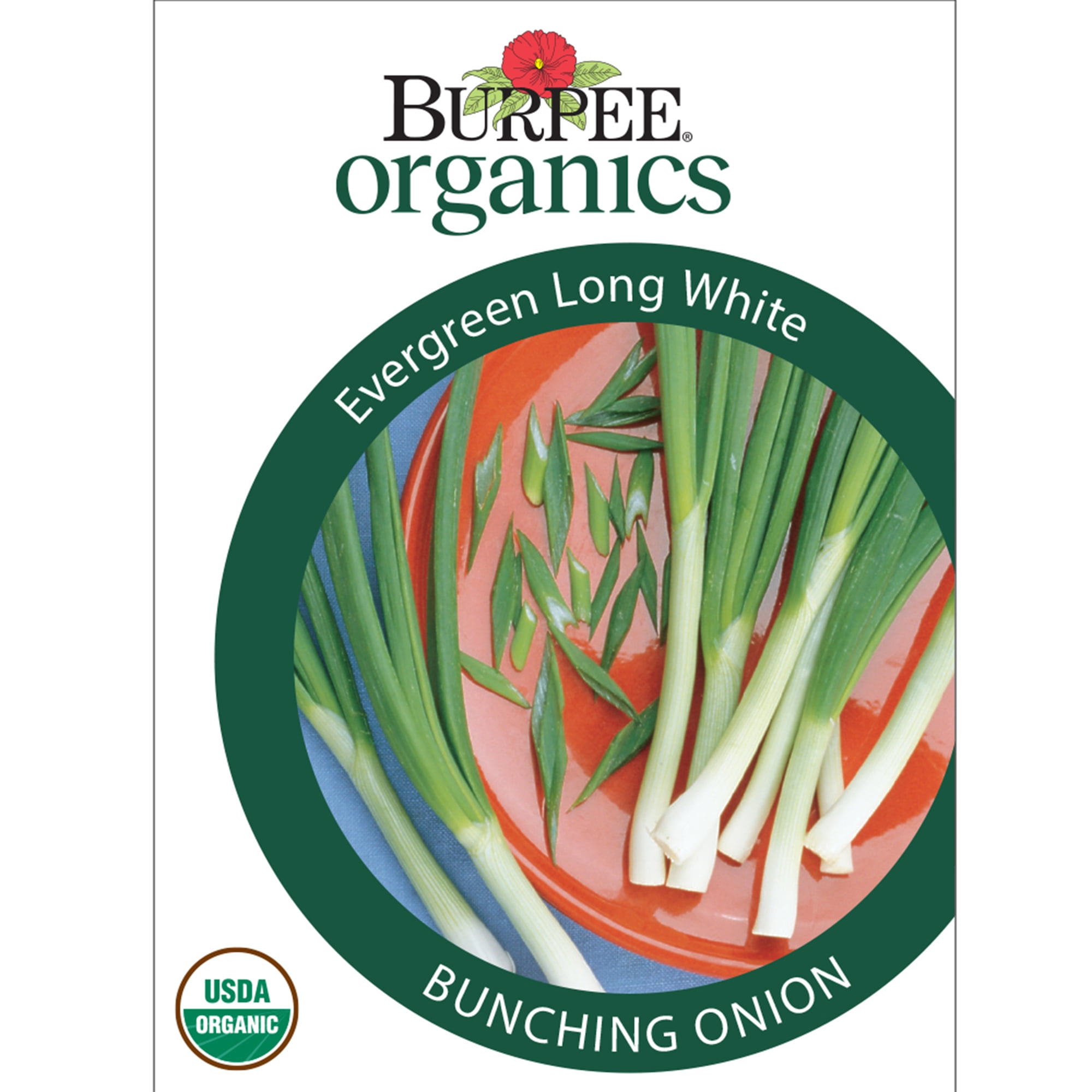 Burpee Organics Evergreen Long White Bunching Onion Seeds