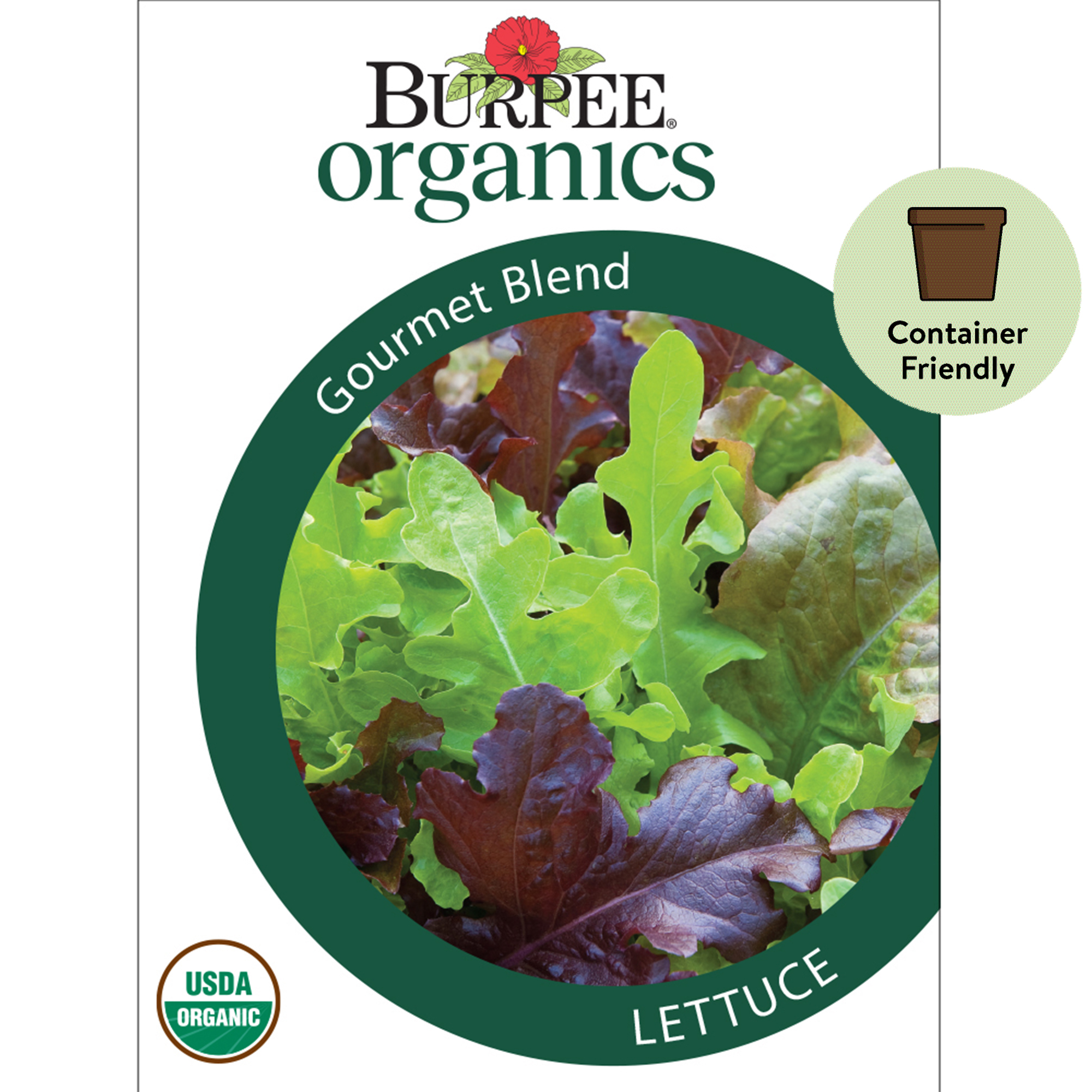 Gourmet Mixed Lettuce Greens Organic Garden Seeds 1 Gram Packet