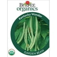 thumbnail image 1 of Burpee Organics Kentucky Wonder Garden Bean, Organic Heirloom Annual Vegetable Seeds, Full Sun, 1 of 5