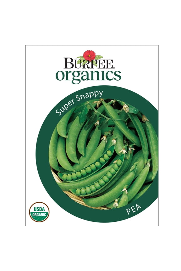 Organics Super Snappy Pea Seeds - Non-GMO, Snap Pea, Organic Vegetable Gardening Seeds, 21g, 1-Pack