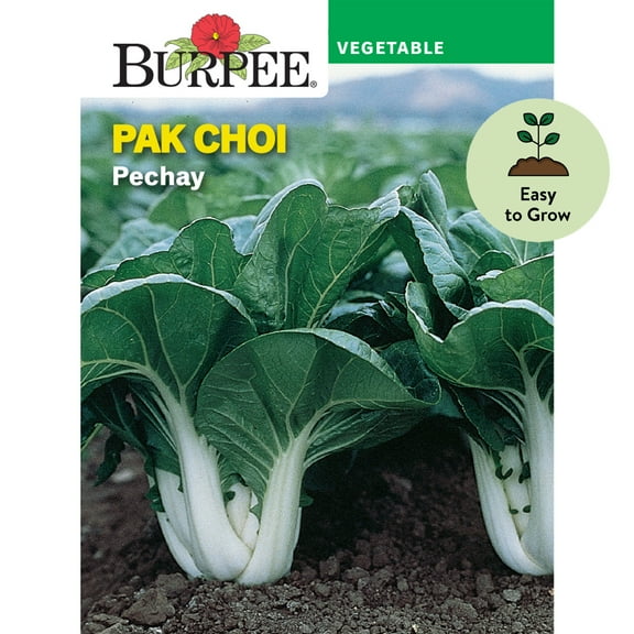Burpee Pechay Pak Choi Chinese Cabbage Vegetable Seed, 1-Pack