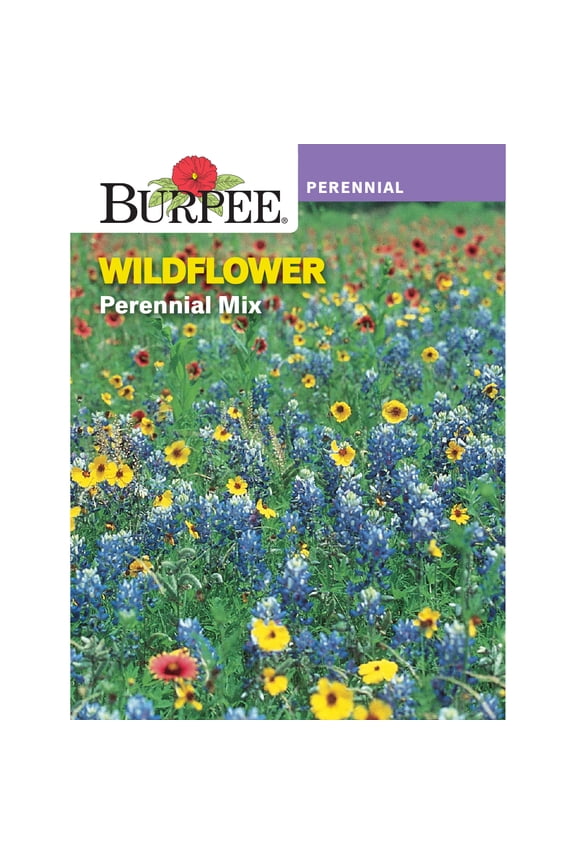 Perennial Mix Wildflower Flower Seed, 1-Pack