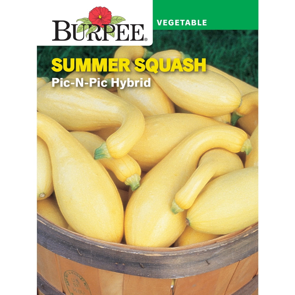 Burpee Pic-N-Pic Hybrid Summer Squash Vegetable Seed, 1-Pack