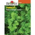 thumbnail image 1 of Burpee Plain or Single Italian Parsley Perennial Herb Seed, 1-Pack, Full Sun, 1 of 3