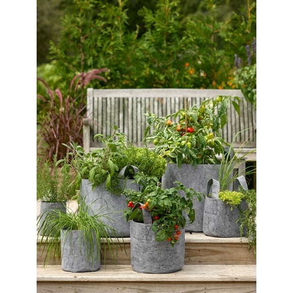 Burpee Root Pouch 3 gallon fabric grow bag - 5-pack