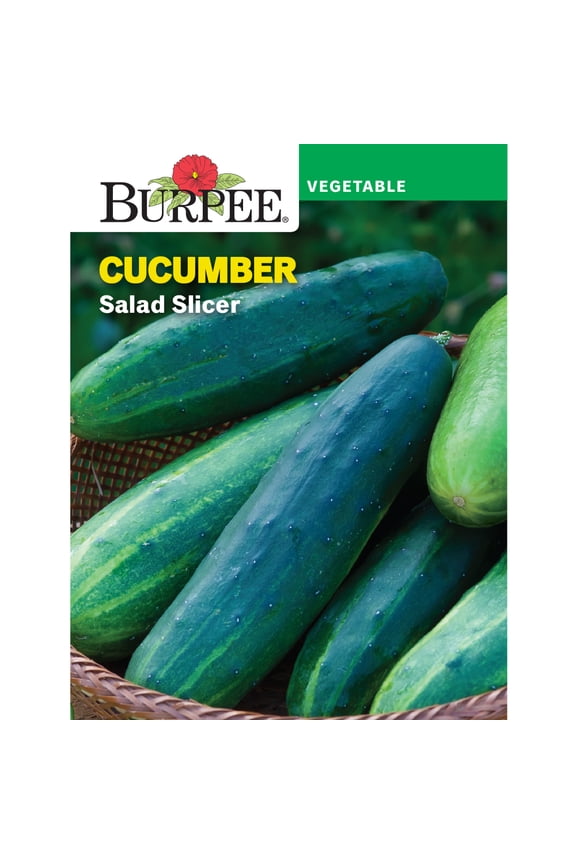 Salad Slicer Cucumber Vegetable Seed, 1-Pack