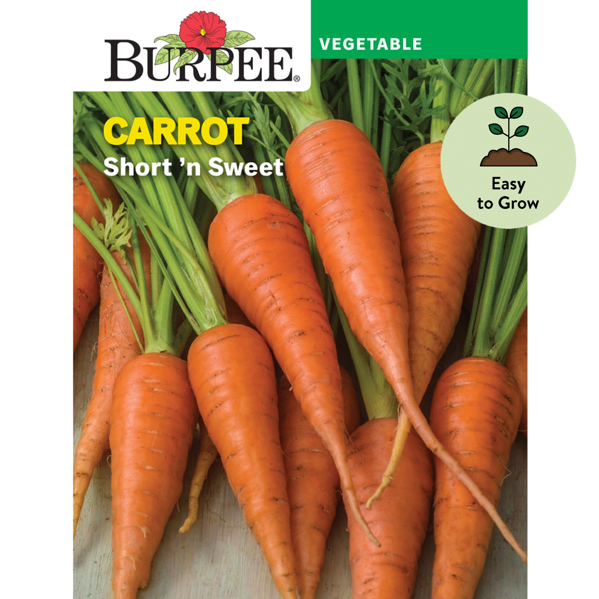 Burpee Short 'N Sweet Carrot Seeds NonGMO, Easy to Grow, Vegetable