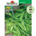 thumbnail image 1 of Burpee Snowbird Pea Seeds - Non-GMO, Snowpea, Easy to Grow, Vegetable Gardening Seeds, 18g, 1-Pack, 1 of 5