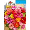 thumbnail image 1 of Burpee State Fair Mixed Colors Zinnia Flower Seed, 1 of 5