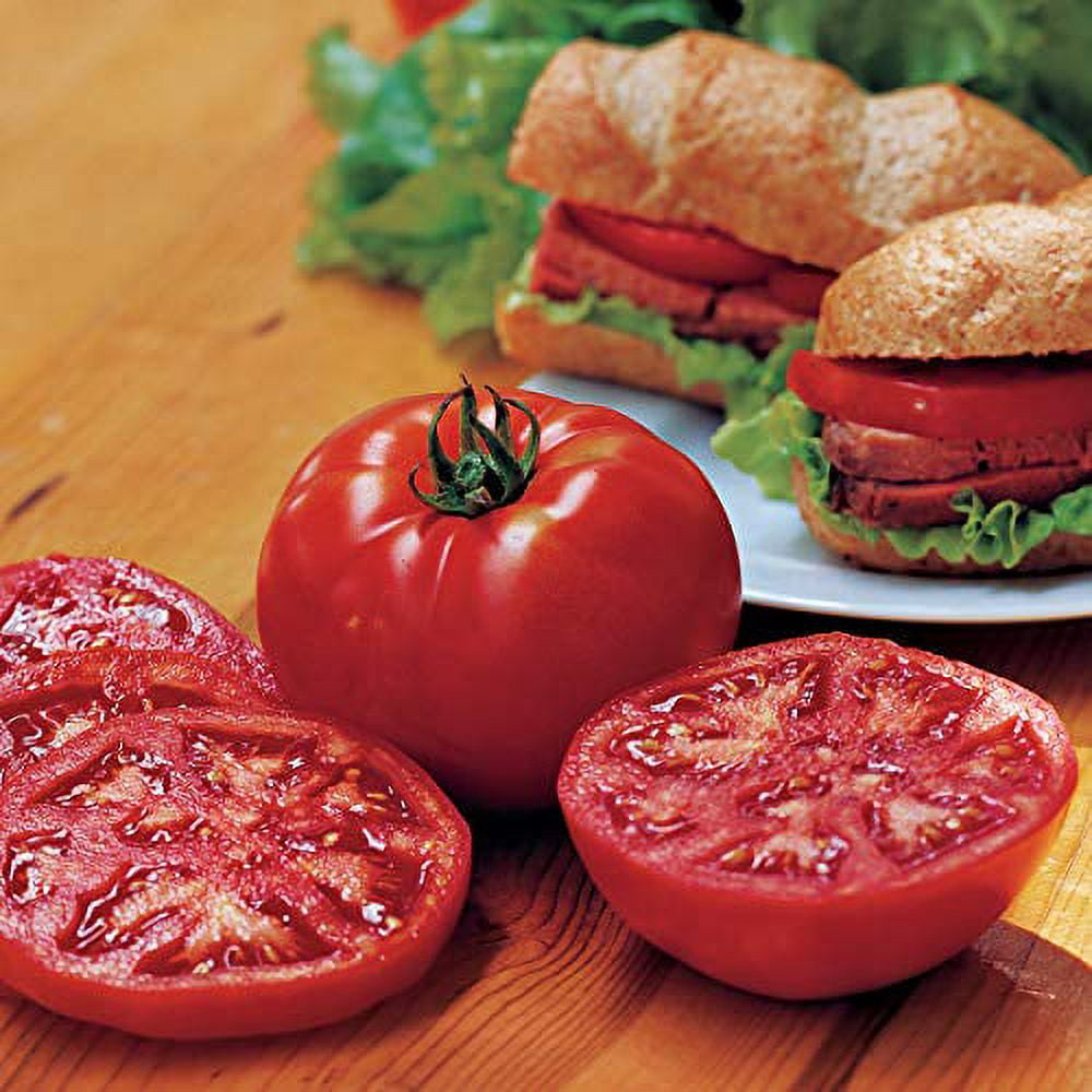 Burpee 'Steak Sandwich' Hybrid | Red Slicing Tomato | 50 Seeds