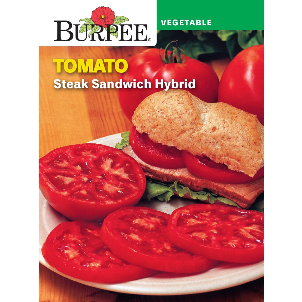 Burpee Steak Sandwich Hybrid Tomato Vegetable Seed, 1-Pack