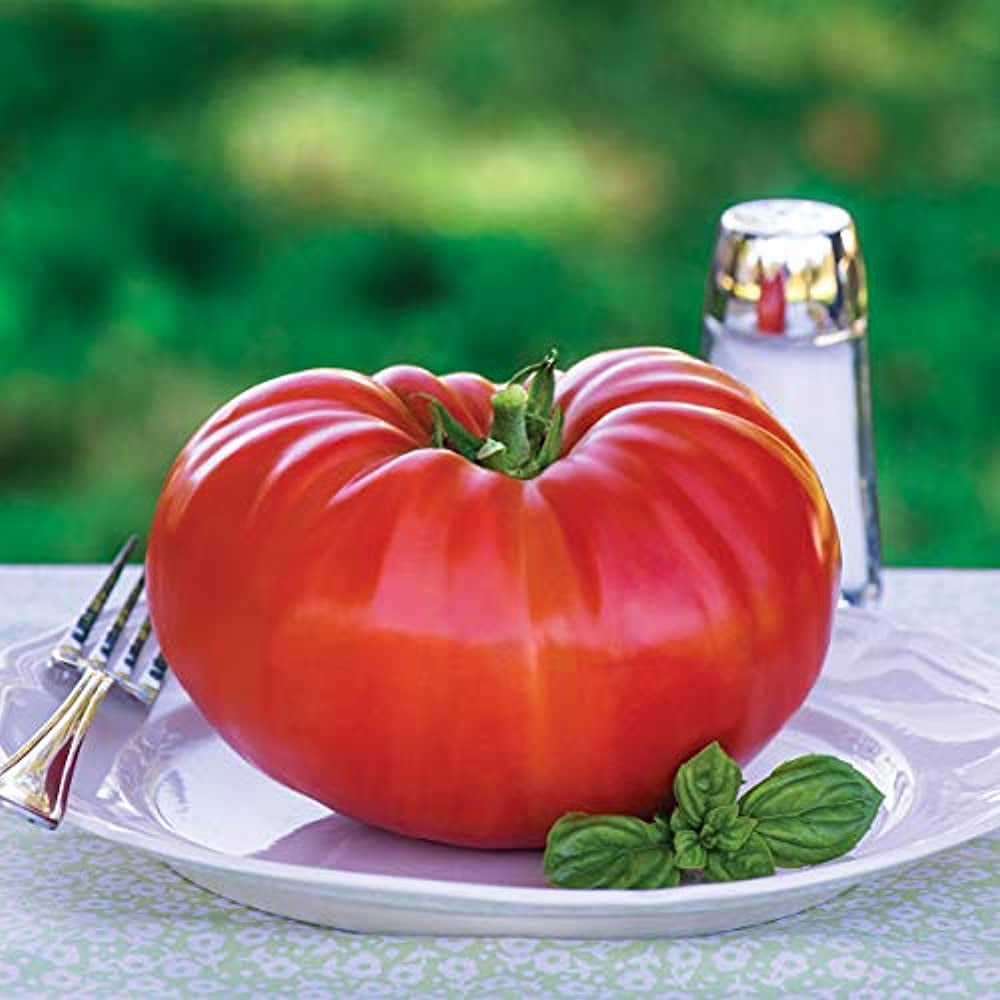 Tomato, Bodacious Hybrid - Burpee