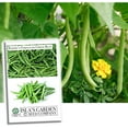 Burpee Stringless Green Bean Seeds - Heirloom, 100+ Seeds, Easy To Grow, Delicious