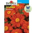 thumbnail image 1 of Burpee Sundance 1 Tithonia Flower Seeds, Attract Hummingbirds and Butterflies, 1 of 6