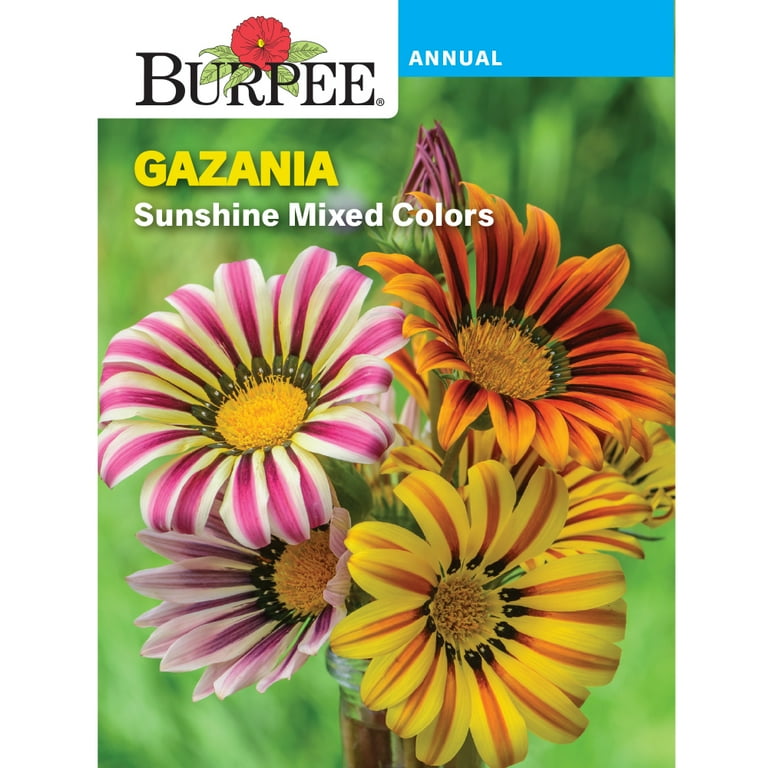 Semi Di Gazania Sunshine Mix - 200 Semi Per Giardino, Bordure, Vaso (Fiori Colorati)