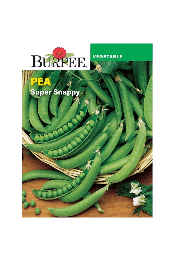 Super Snappy Pea Seed, Annual Vegetable Seed, Full Sun