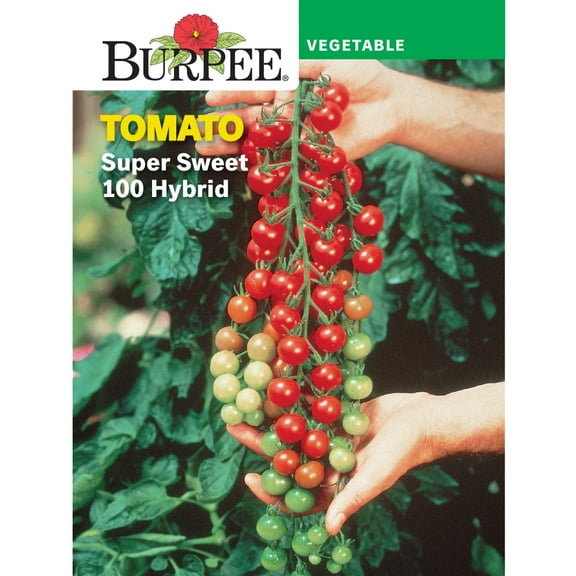 Burpee Super Sweet 100 Hybrid Tomato Vegetable Seed, 1-Pack