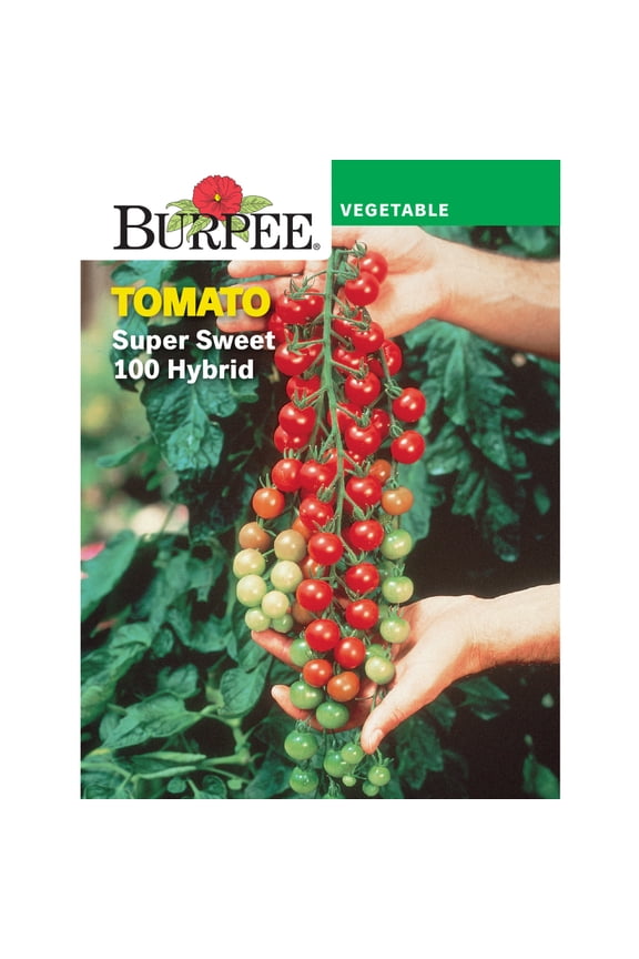 Super Sweet 100 Hybrid Tomato Vegetable Seed, 1-Pack