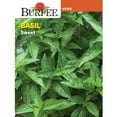 thumbnail image 1 of Burpee Sweet Basil Herb Seed, 1-Pack, 1 of 6
