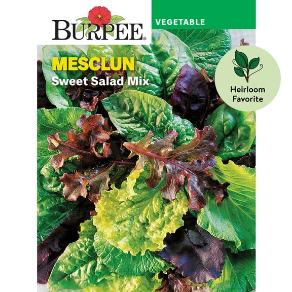 Burpee Sweet Salad Mix Mesclun Vegetable Seed, 1-Pack