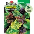 Spring Mix Package Burpee Sweet Salad Mix Mesclun Vegetable Seed, 1-Pack - Walmart ...