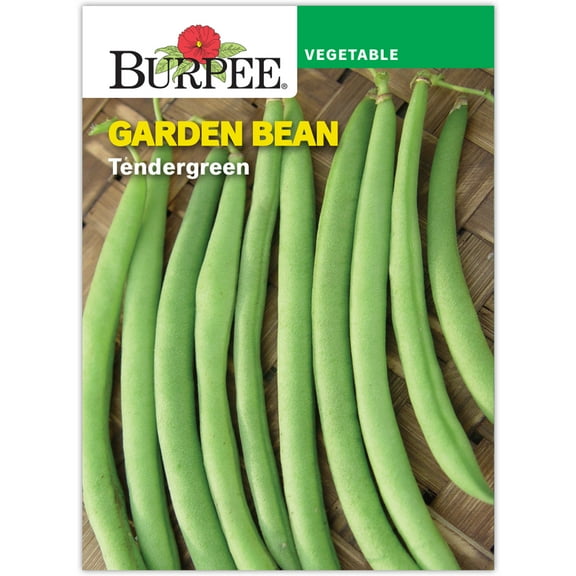 Burpee Tendergreen Heirloom Garden Bean Seed, Annual Vegetable Seed, 1-Pack, Full Sun