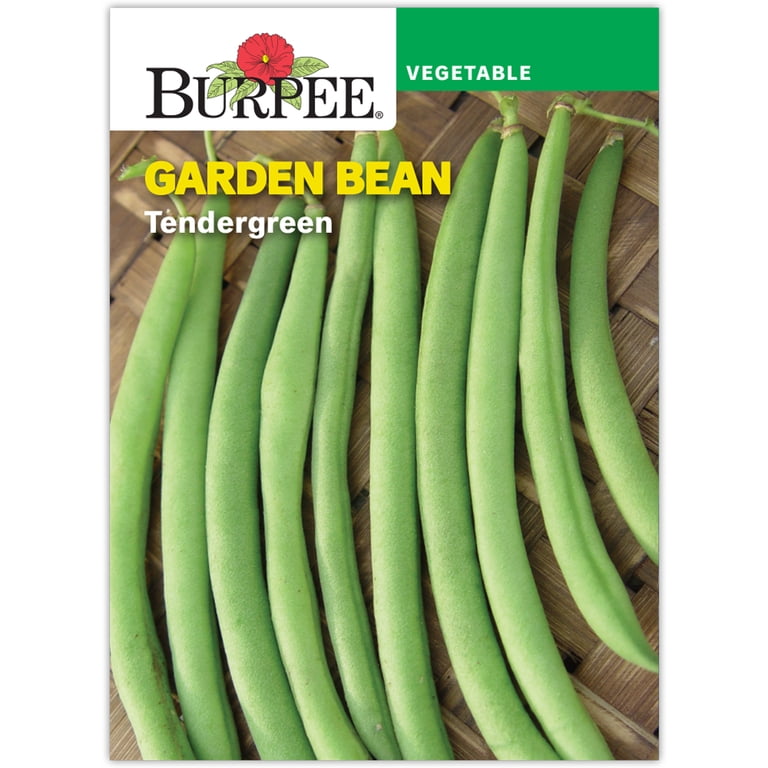 Burpee Tendergreen Heirloom Garden Bean Seed, 1-Pack - Walmart.com
