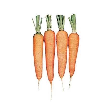 Burpee Touchon Carrot Seeds 3500 seeds