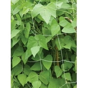 Burpee Trellis Netting, 5'x 15', 1 Netting per Package, Made of Nylon