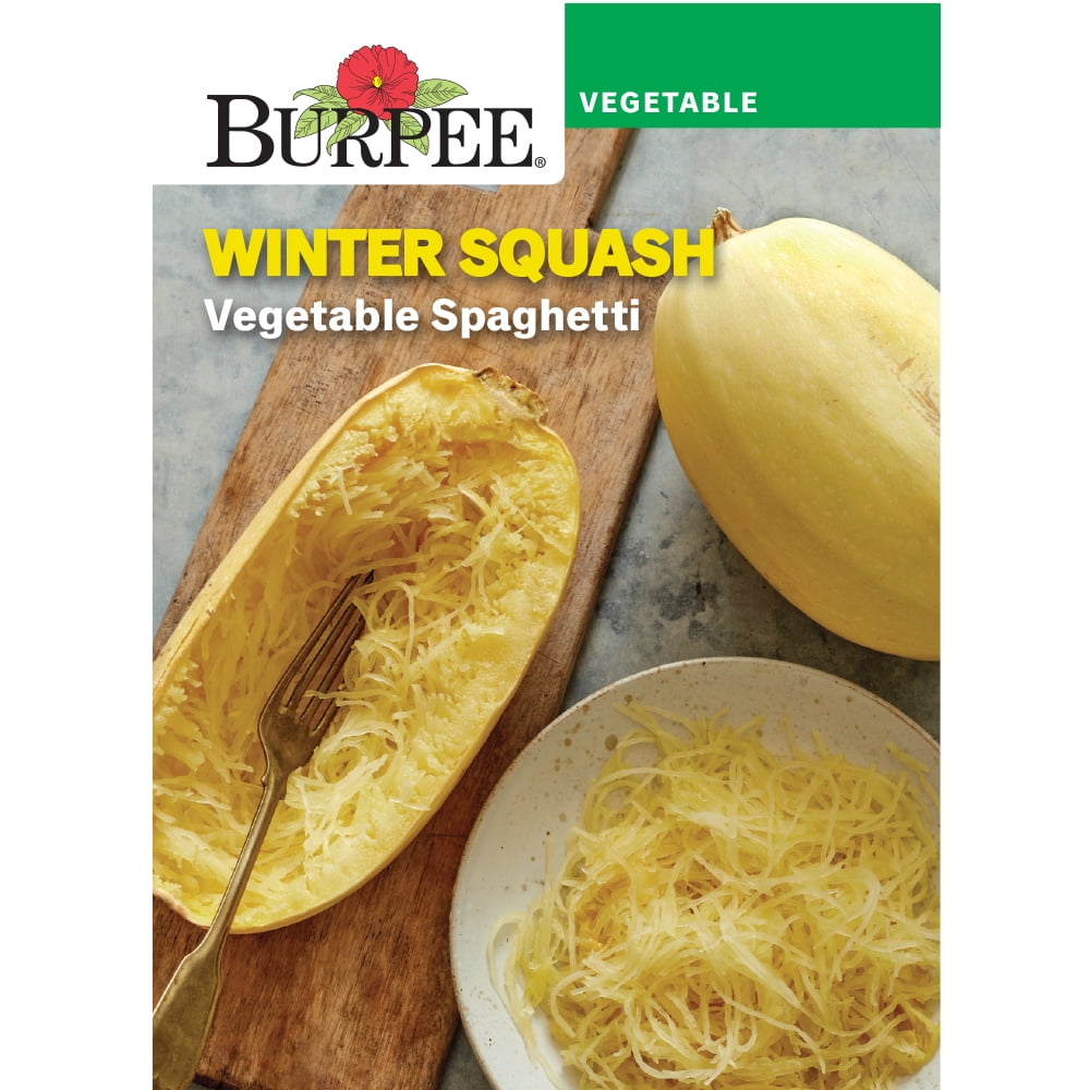 Burpee Vegetable Spaghetti Winter Squash Annual Vegetable Seed, 1-Pack, Full Sun
