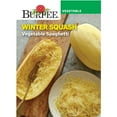 thumbnail image 1 of Burpee Vegetable Spaghetti Winter Squash Annual Vegetable Seed, 1-Pack, Full Sun, 1 of 3