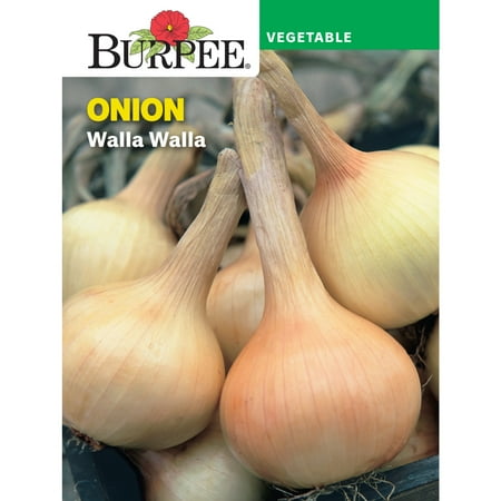 Burpee Walla Walla Onion Vegetable Seed, 1-Pack
