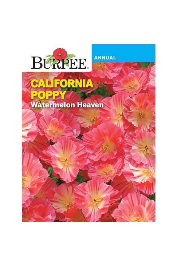 Watermelon Heaven California Poppy Flower Seed, 1-Pack