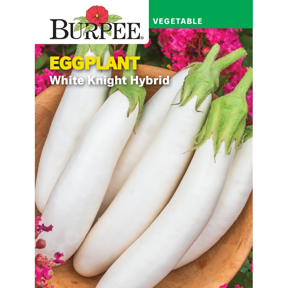 Burpee White Knight Hybrid Eggplant Vegetable Seed, 1-Pack