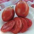 thumbnail image 1 of Burpees Gladiator Roma Tomato Plant - 3.5" Pot - Excellent Flavor/Largest Roma, 1 of 1