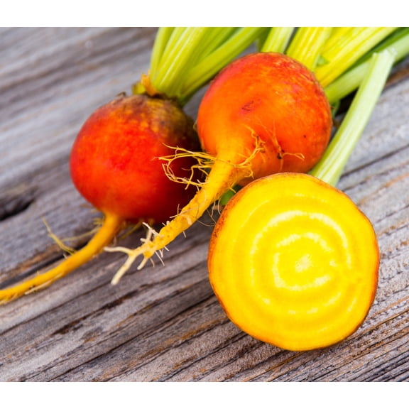 Sherwood's Seeds 40 Count Heirloom Beet Seeds, Sweet Mild Flavor, Perfect for Pickling & Cooking