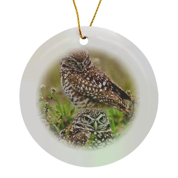 3drose, Burrowing Owl, Cape Coral, Florida - Us10 Aje0204 - Adam Jones, Circle Porcelain Ornament