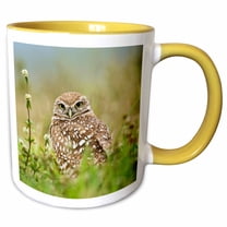 3drose, Burrowing Owl, Cape Coral, Florida - Us10 Aje0205 - Adam Jones, 11oz Two-tone Yellow Mug
