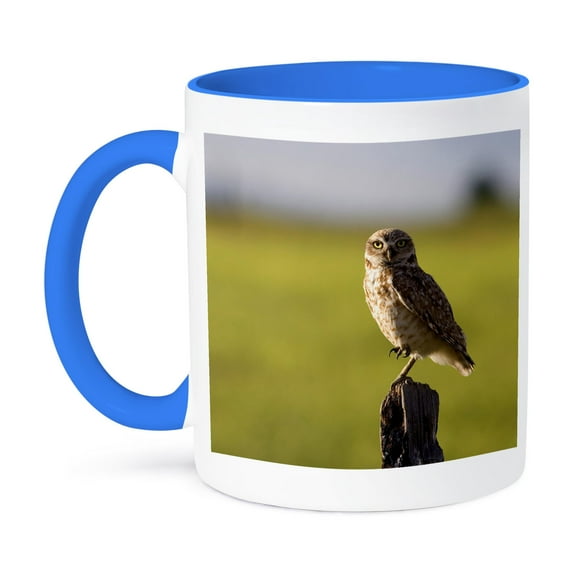 3dRose, Burrowing owl on a fence post in Idaho - US13 DFR0248 - David R. Frazier, 15oz Two-Tone Blue Mug