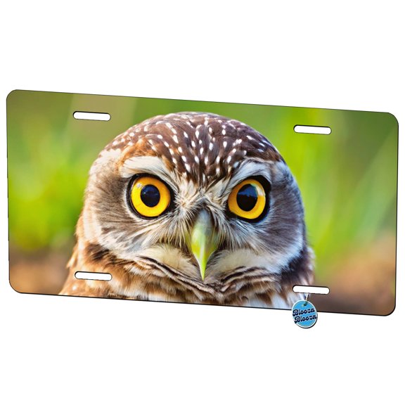 Burrowing Owl Raptor Bird Of Prey Metal Novelty License Plate