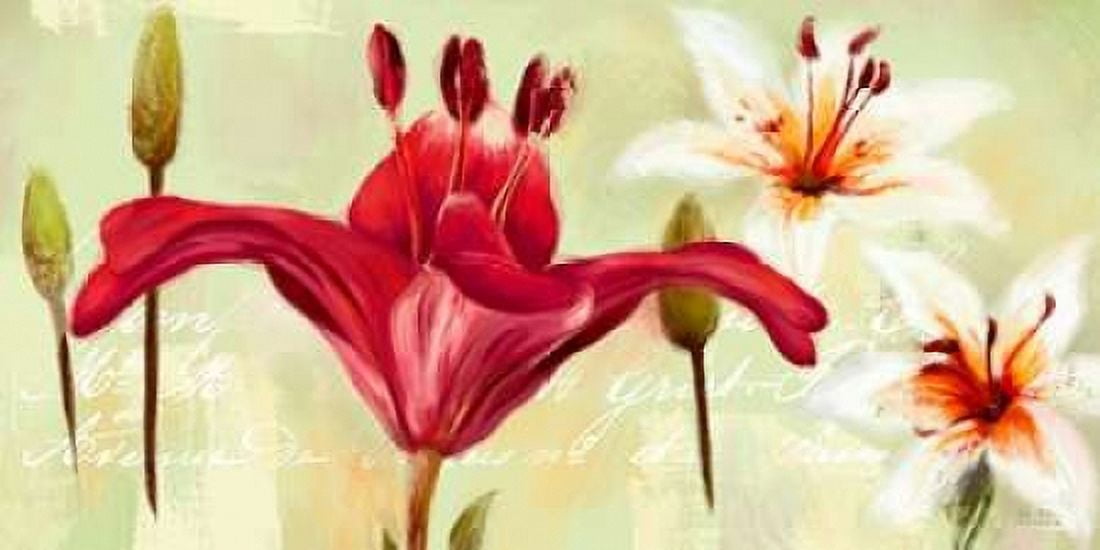 Bursting Lilies Garden 1 Canvas Art - Art Atelier Alliance (10 x 20)