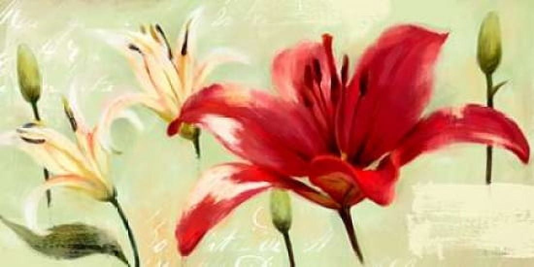 Bursting Lilies Garden 2 Canvas Art - Art Atelier Alliance (10 x 20)